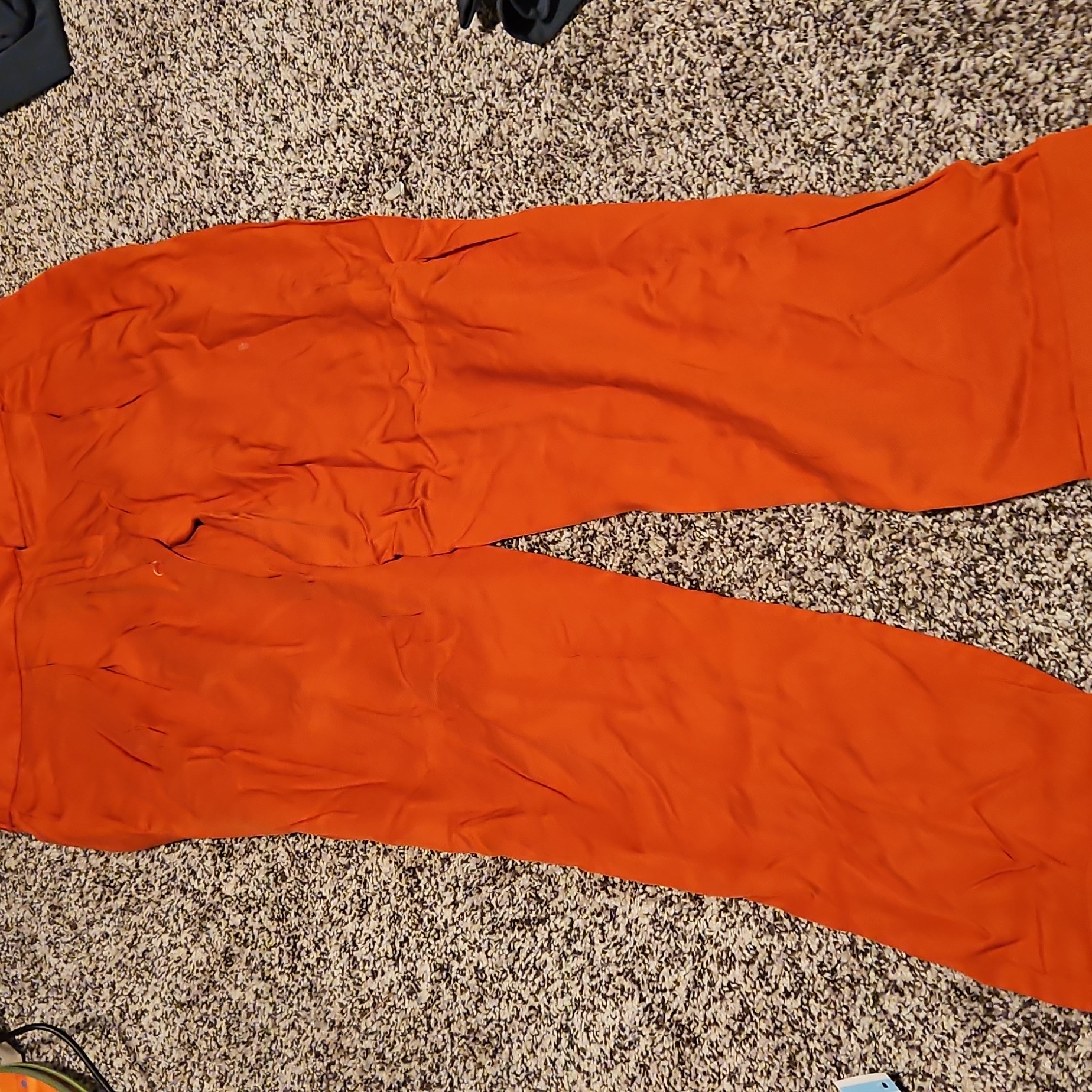 Loft. Women's Size 2. Orange Dress Pants. New With Tag. Marisa Made In India.